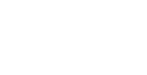 miniflo logo
